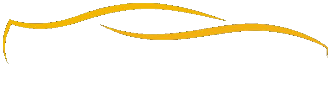 Logo de ALENMOTORS